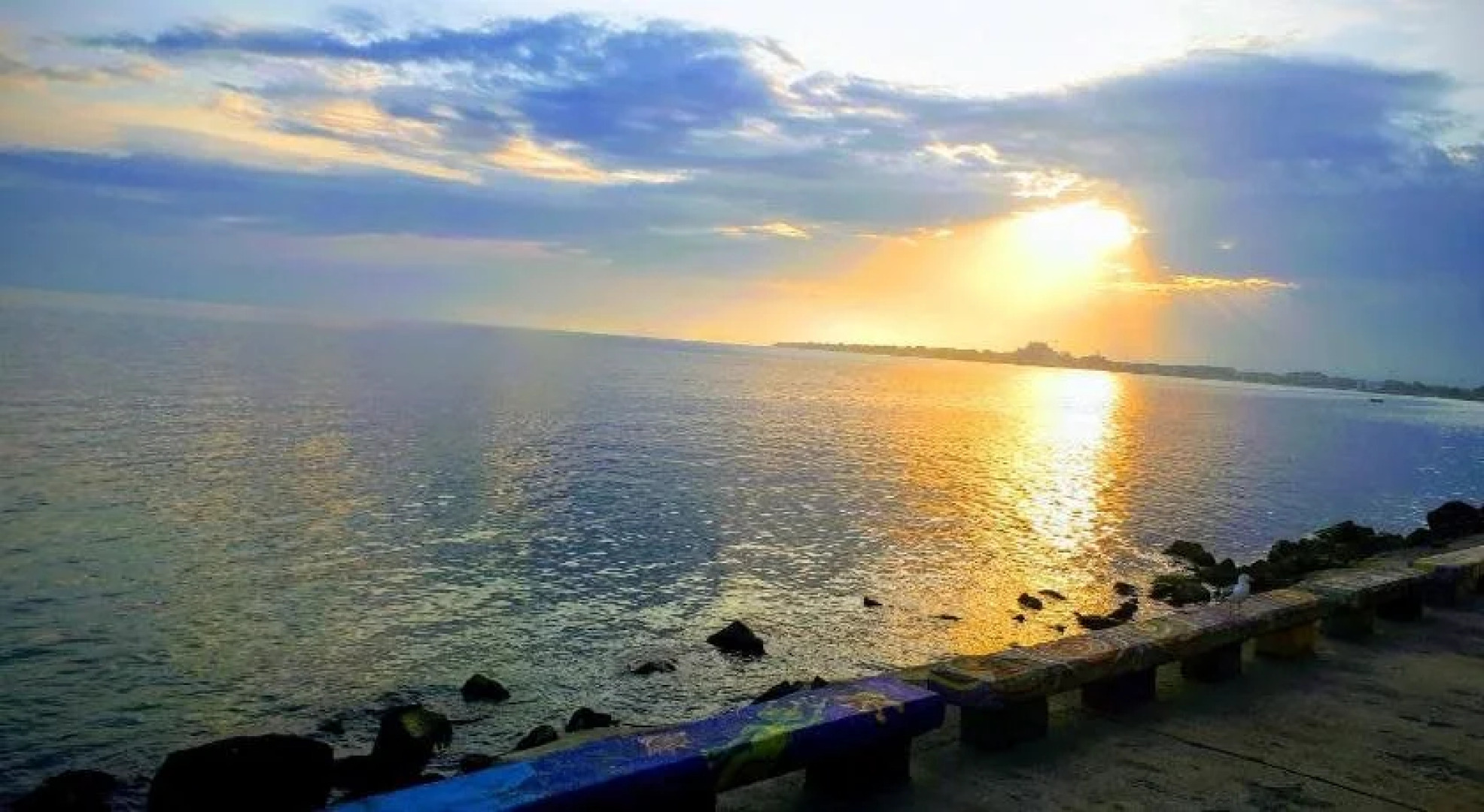 Guest House Orchidea