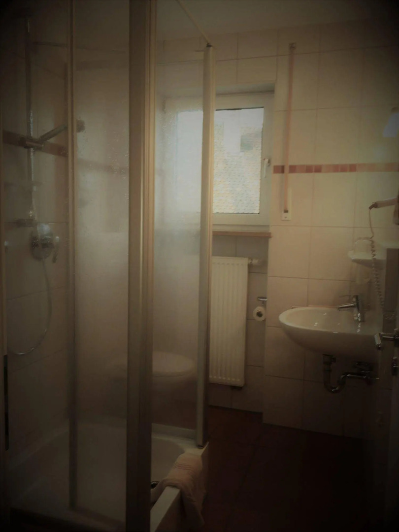 Gasthof-Pension Brauner Hirsch