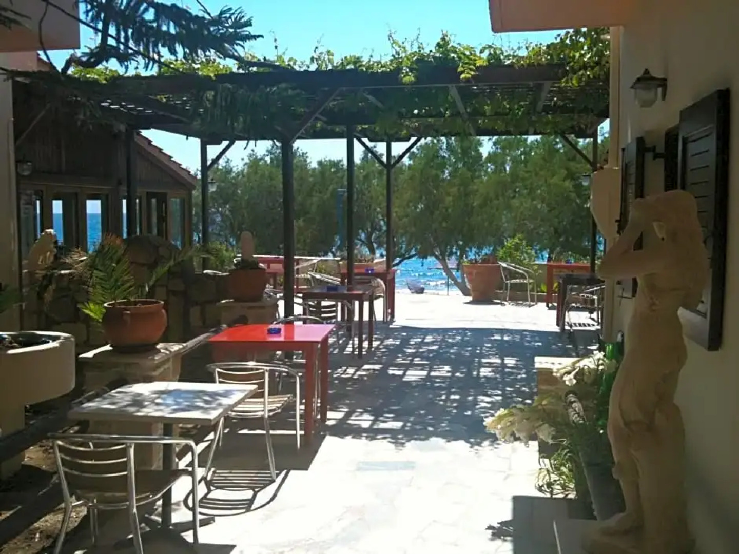 Alexander Beach Hotel