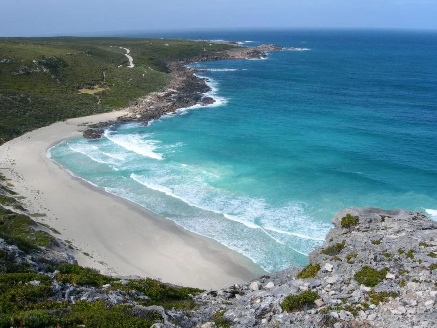 Harmony Forest Accommodation and Vineyard