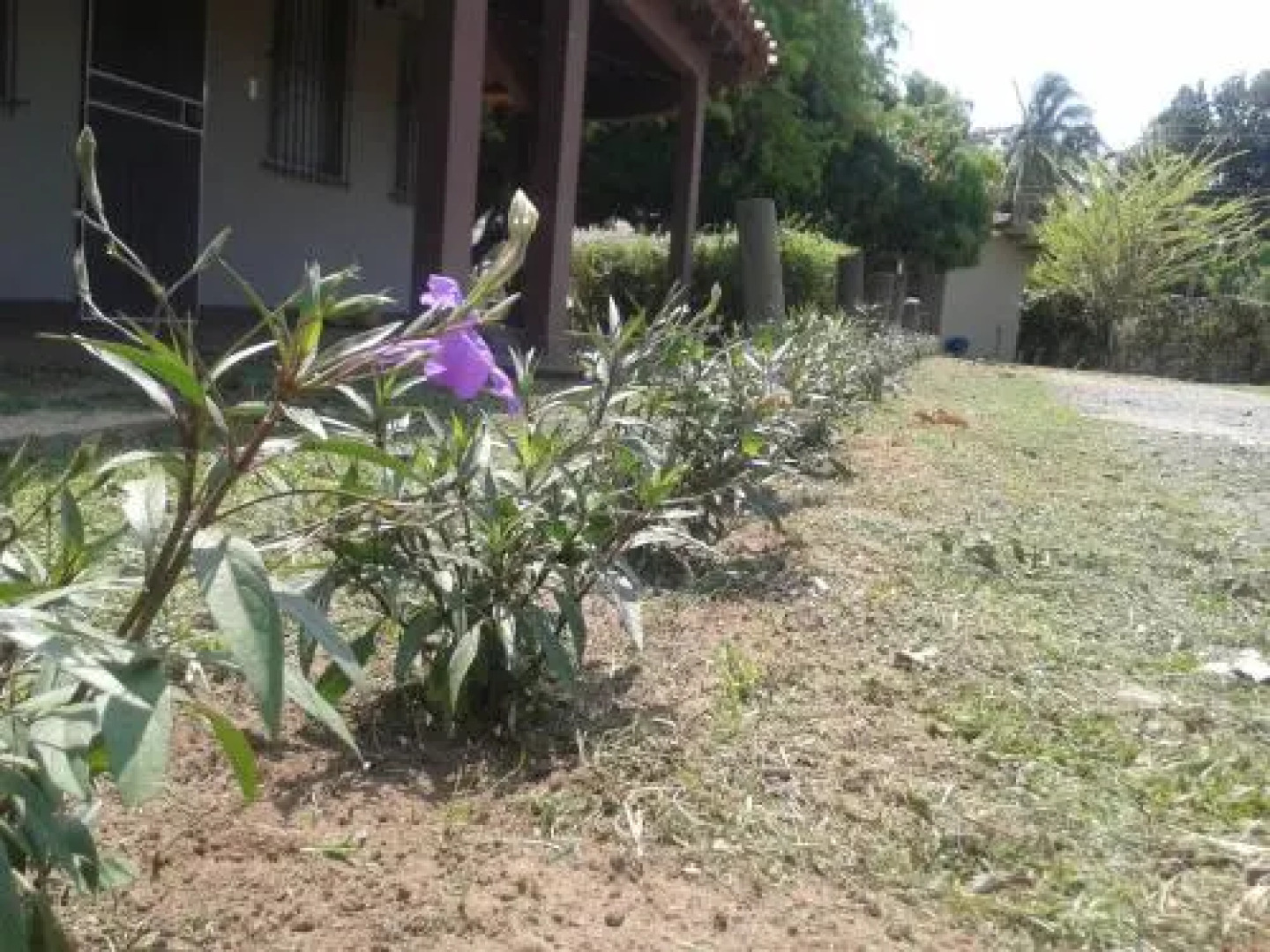 Hotel Residencial Pedasi