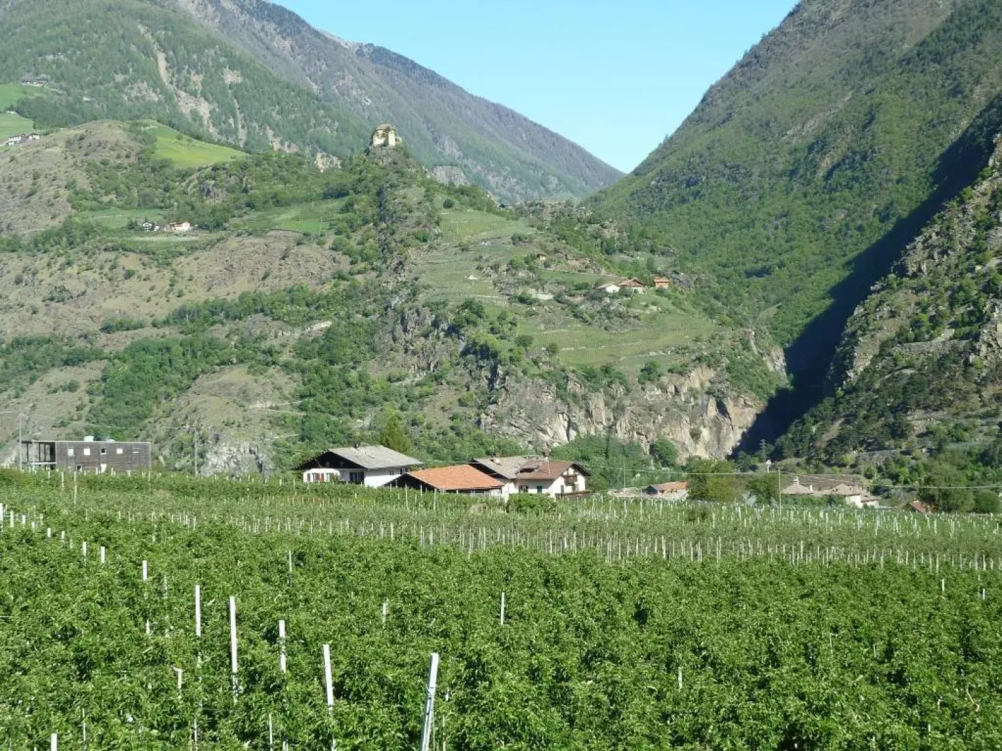 Residence Hochwart ***S