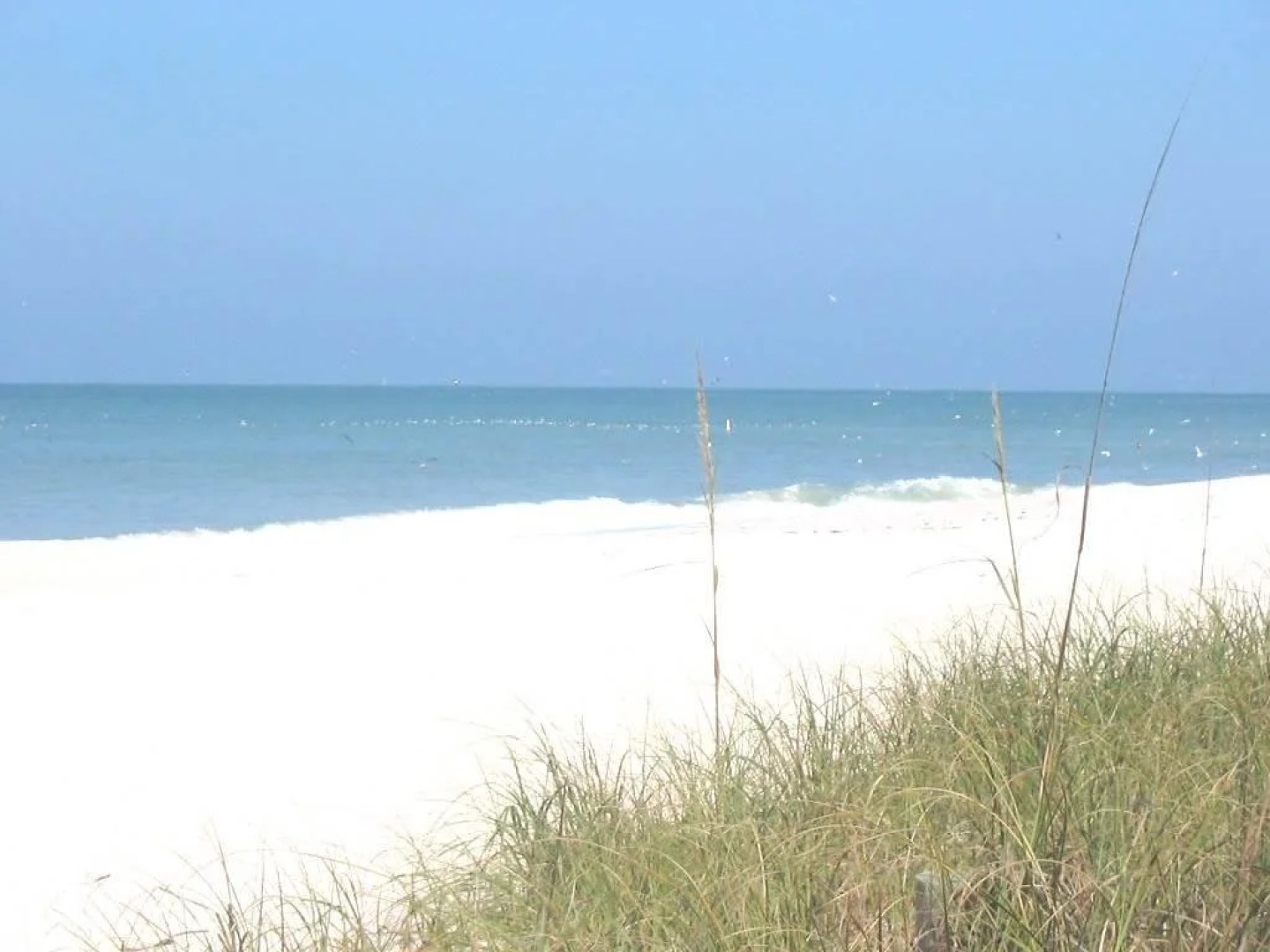 Gulf And Bay Club Siesta Key