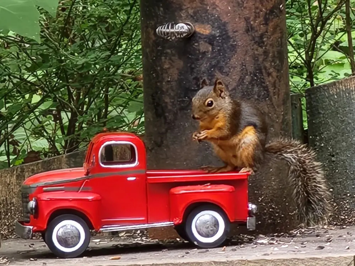 The Shed at Moon Dance