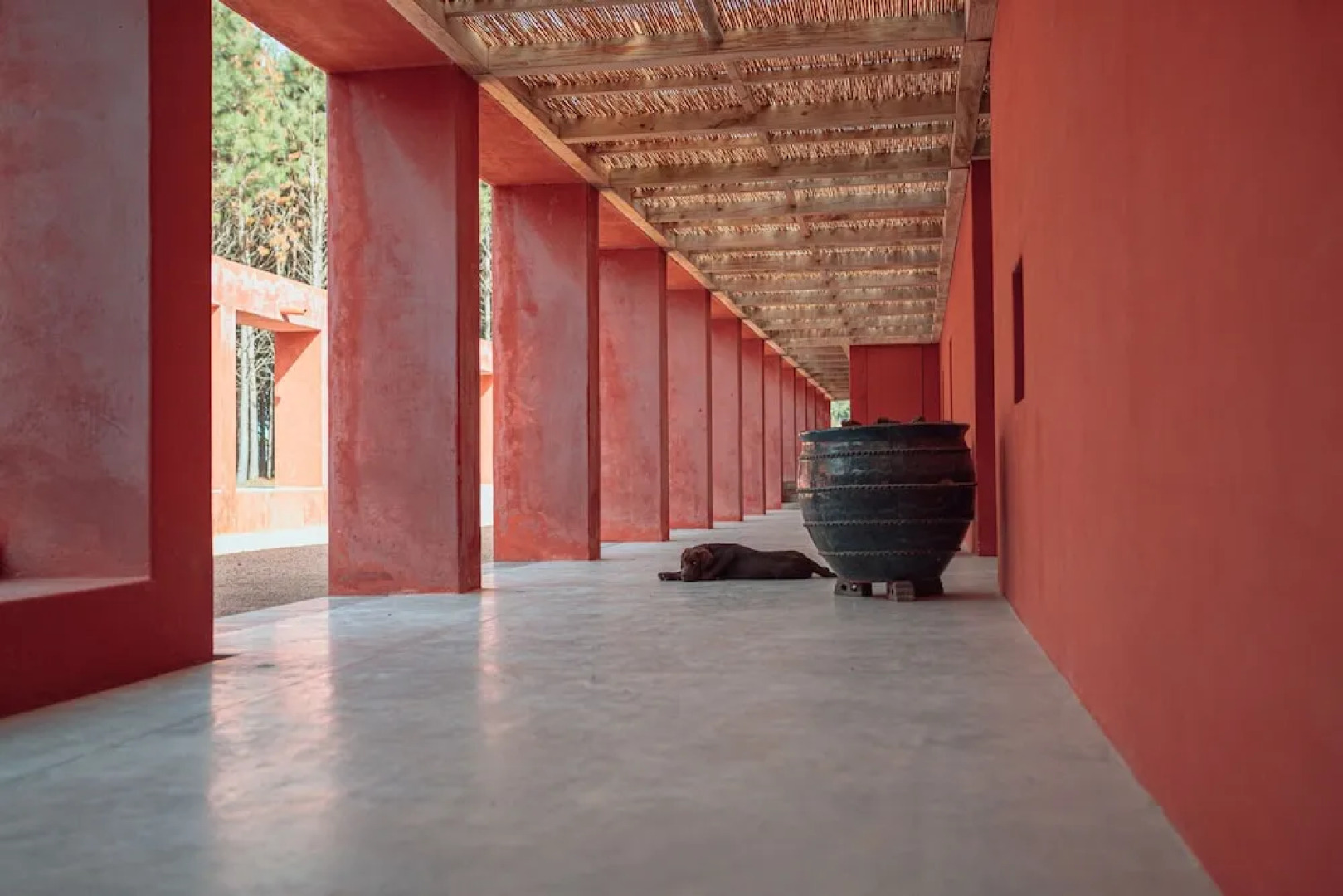 LUZ Culinary Wine Lodge