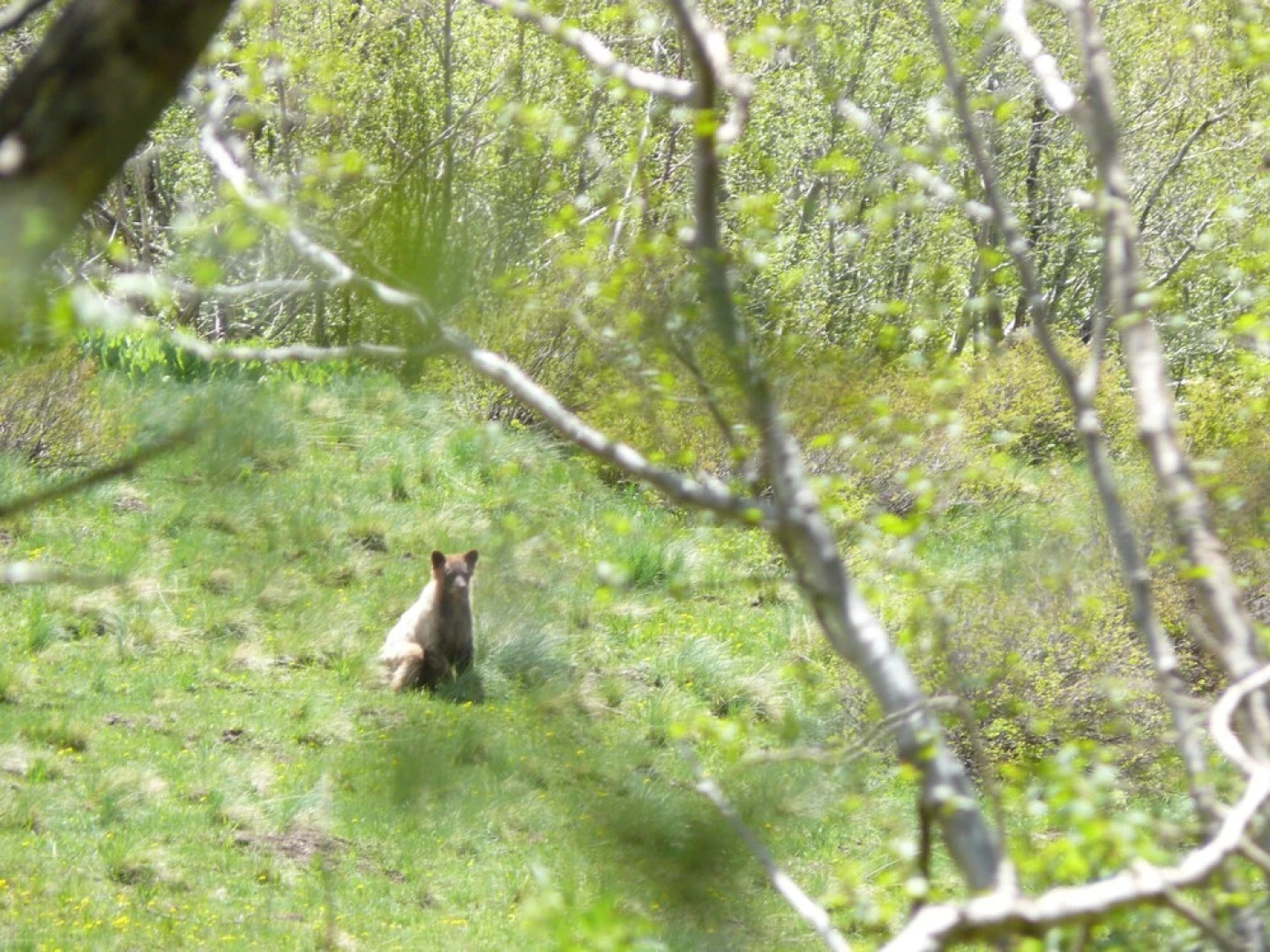 The Ranch At Autumn Woods
