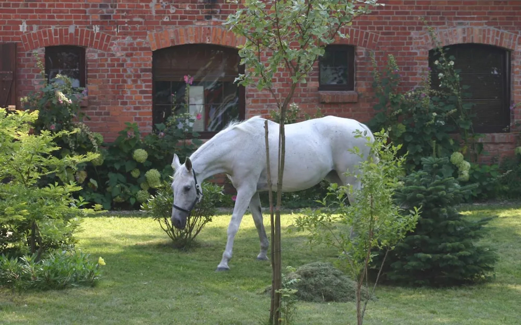 Stary Młyn Strzeszyn