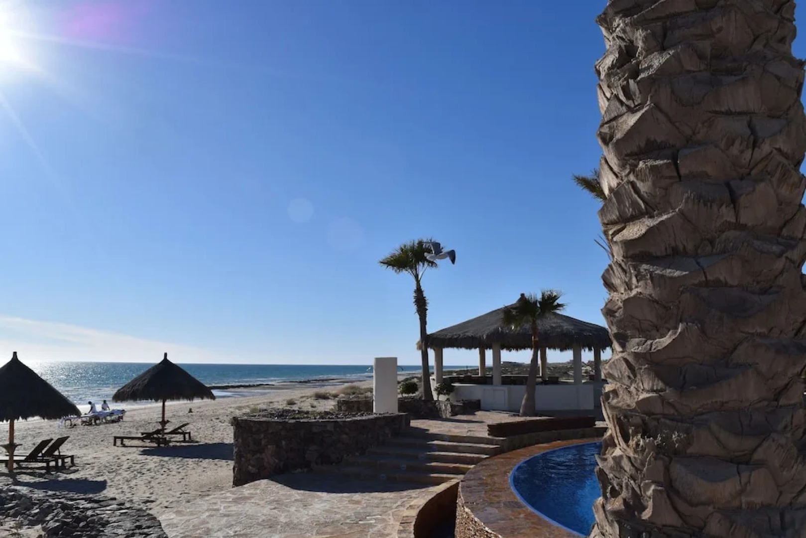 Luna Blanca by Kivoya