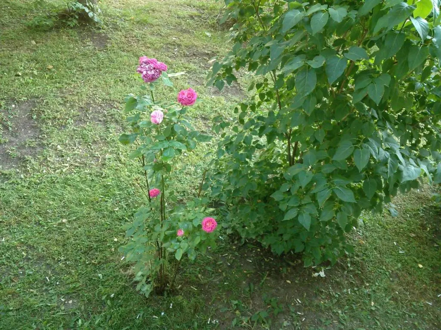 A comfortable 18m room with balcony