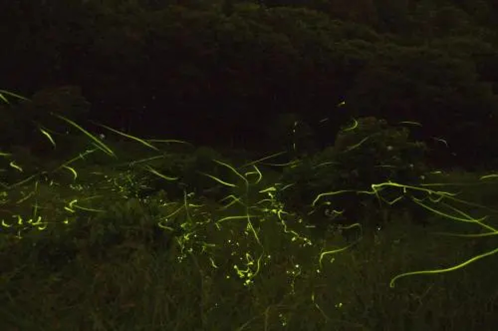 Petit Hotel of Log House Tombouctou