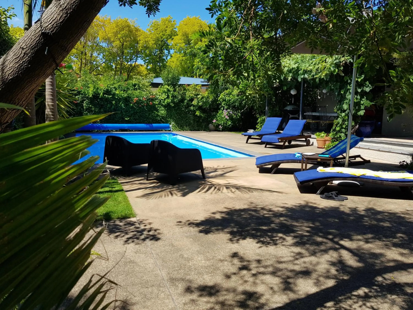 Havelock North central apartment