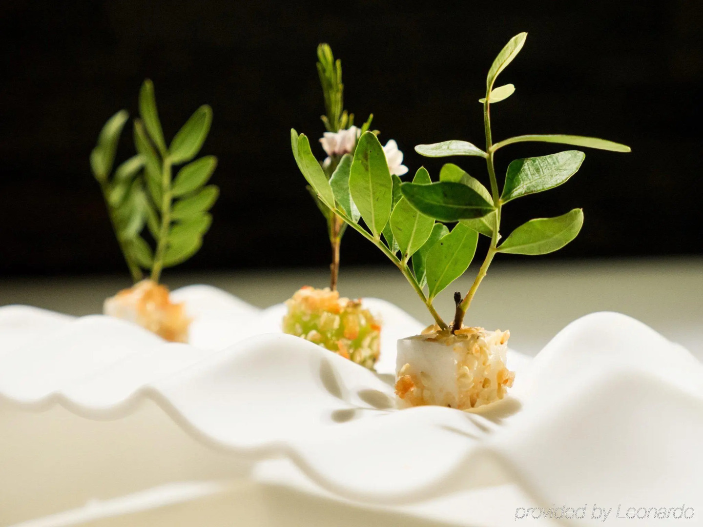 Sport Hotel Hermitage & Spa