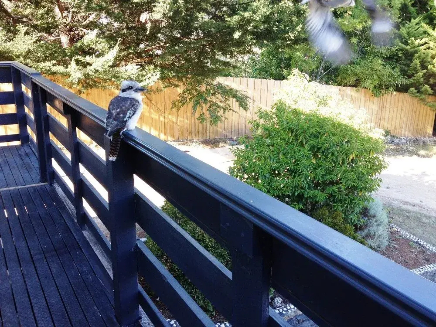 Acacia House Spa Balcony Apartment