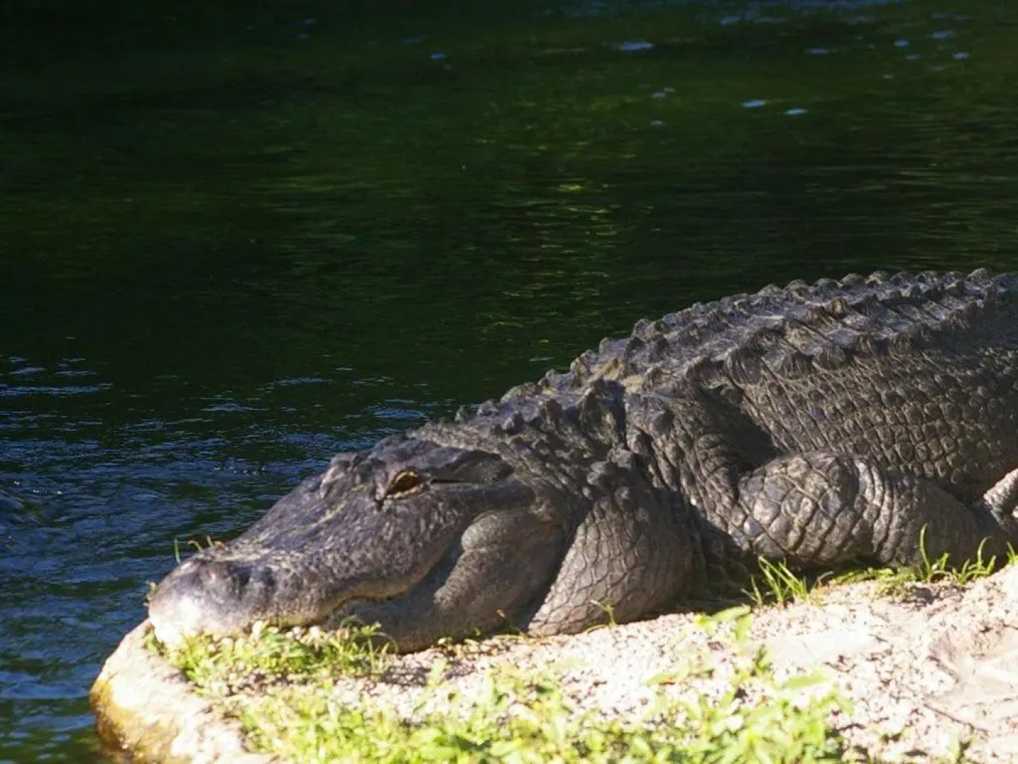 2BR/1BA Vacation Rental - Sienna Park