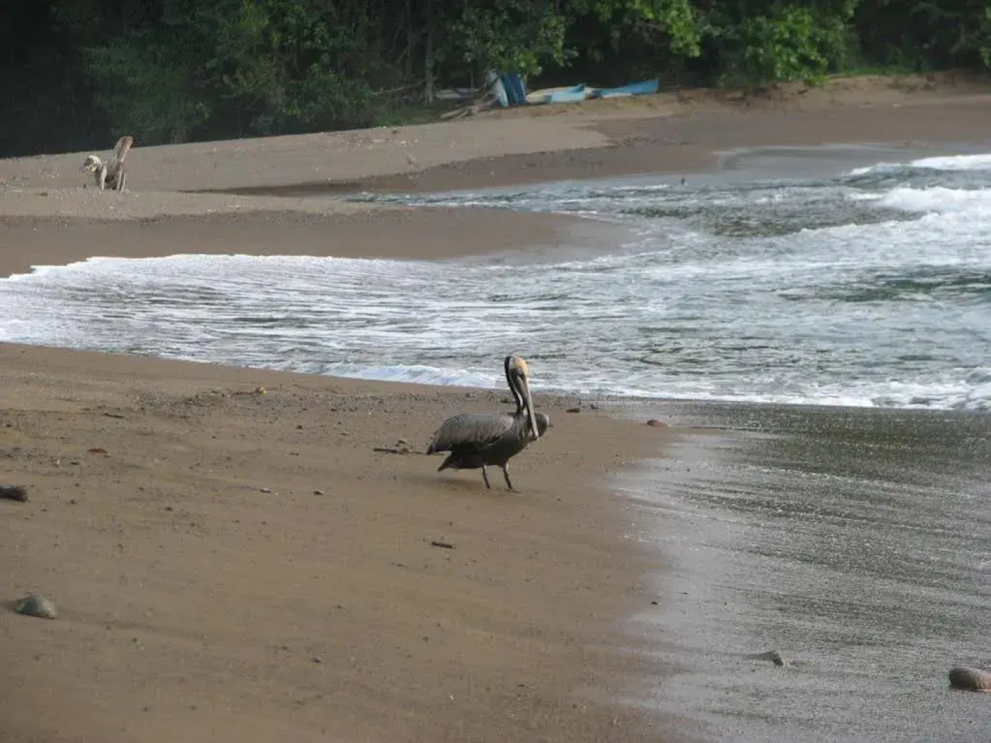 Punta Marenco Lodge