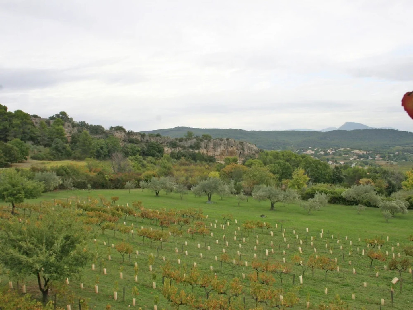 Beautiful Mansion With Views of Mont Ventoux and With Fenced Private Pool