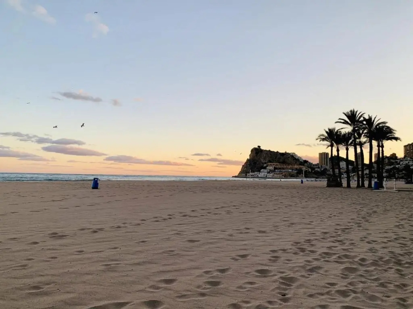 A428 - Tamarindo - 2004 Finestrat s.l.