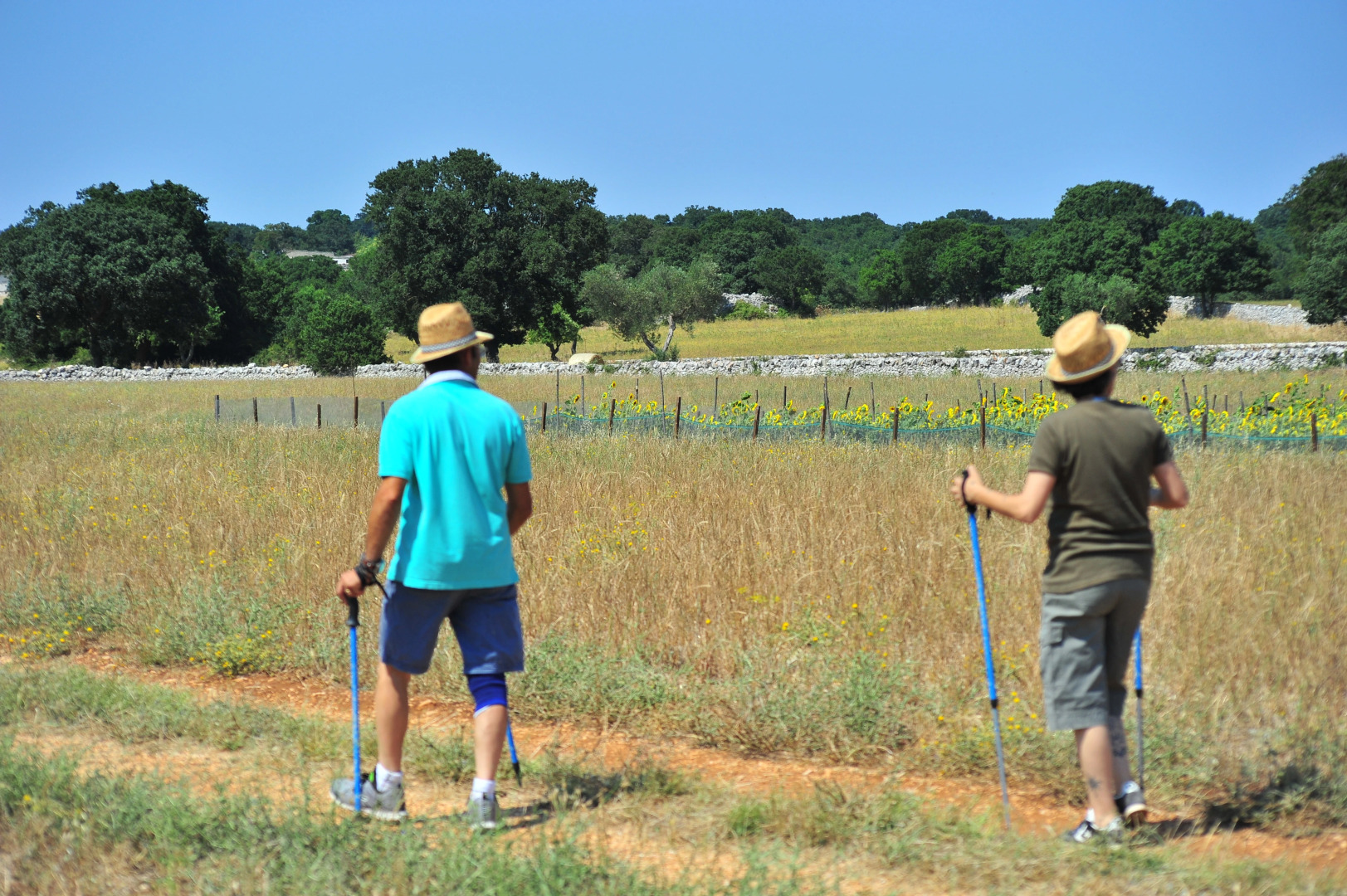 Victor Country Hotel