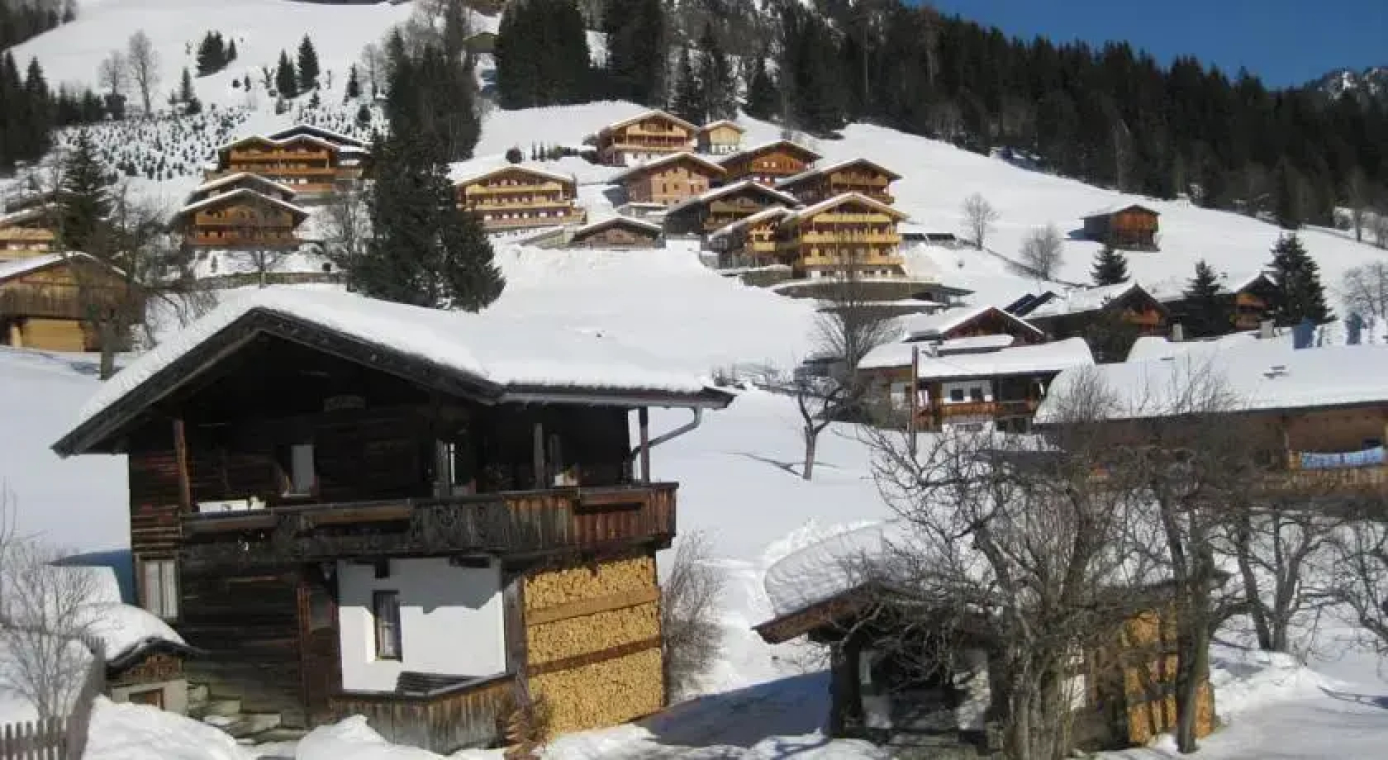 Heachhof
