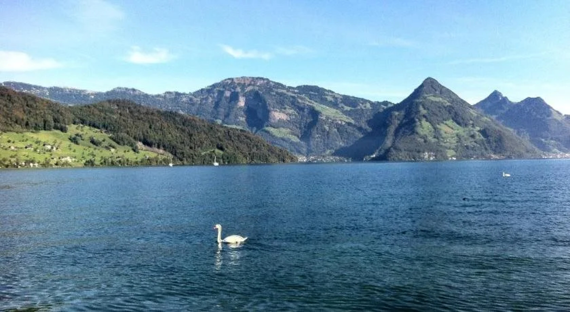 Der Italiener