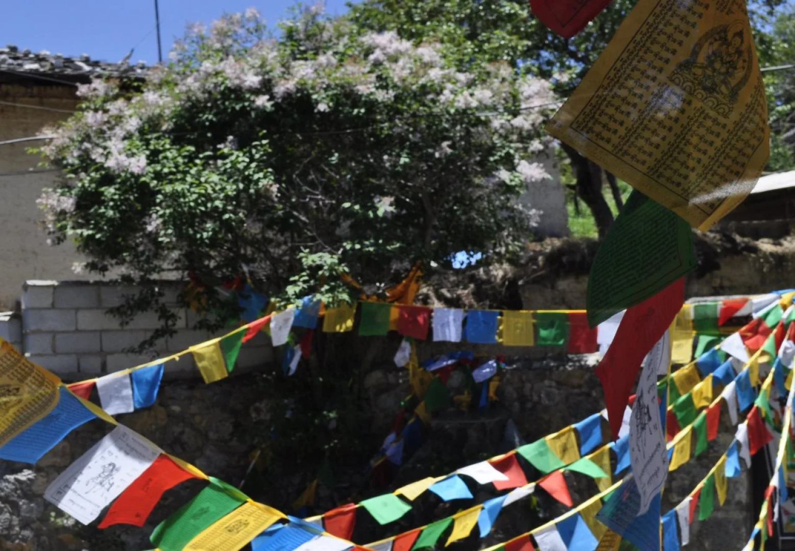 The Design Of Gathering Ten Powerful Elements Inn