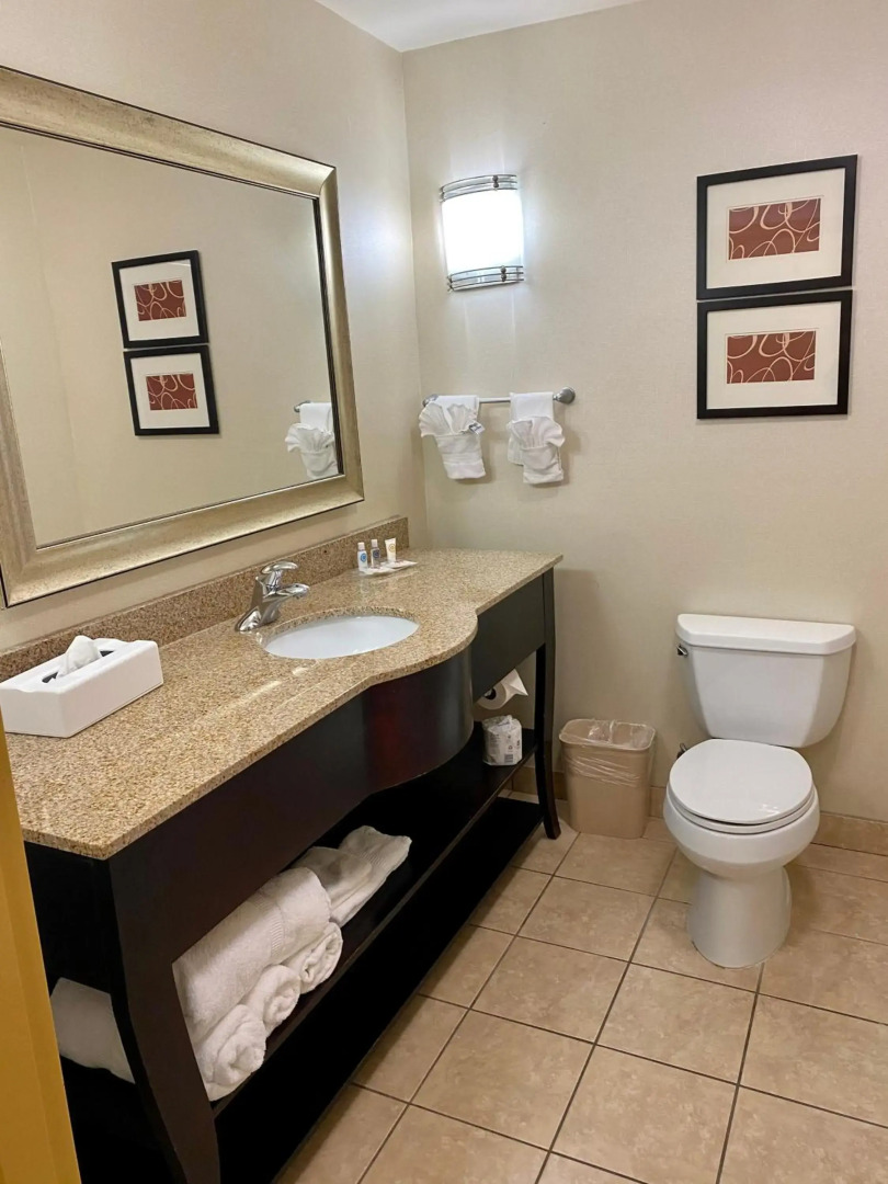 Comfort Suites Rock Hill Manchester Meadows Area