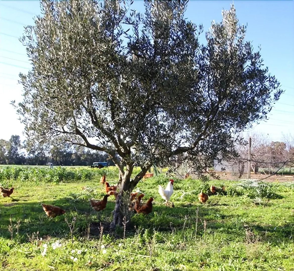 Agriturismo Raggio Di Sole