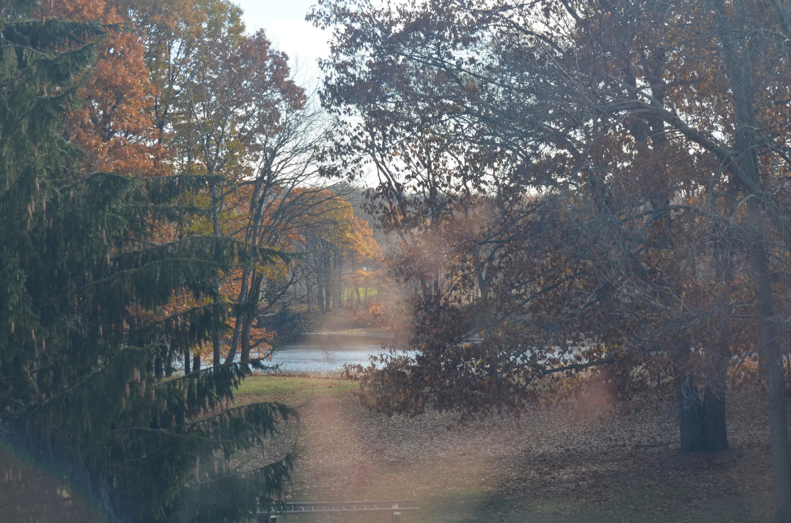 Magnolia North Bed and Breakfast