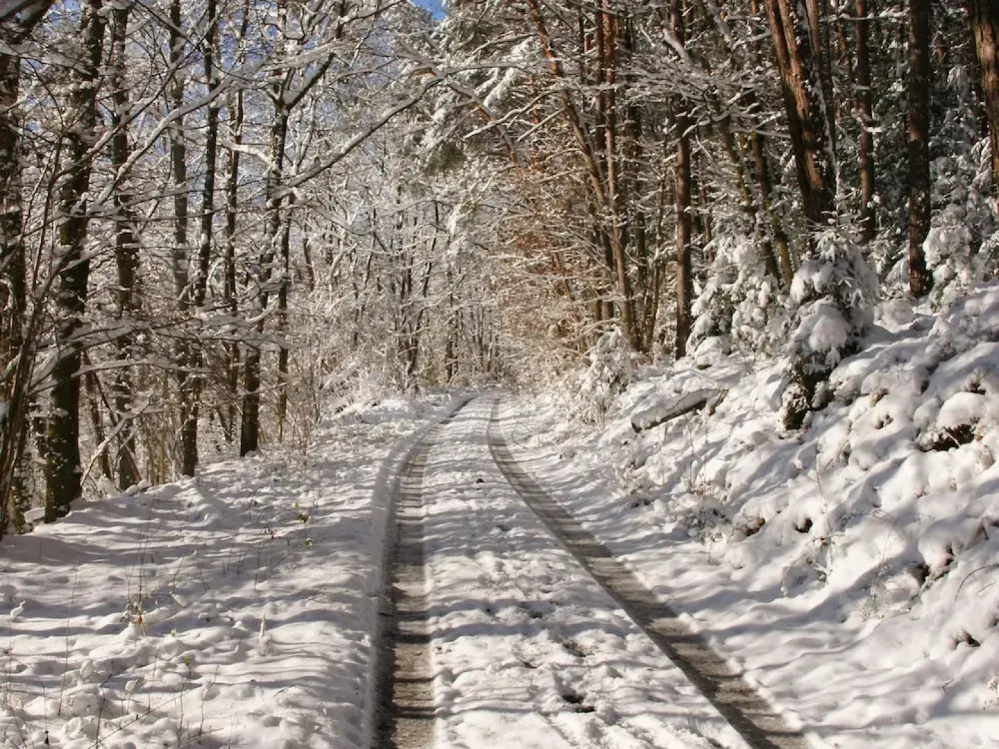 Ruckzugsort in Mossautal-huttenthal