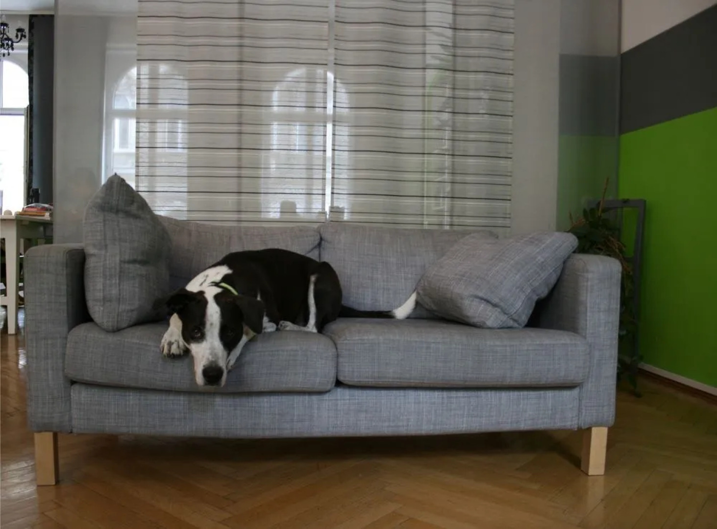 Hostel & Guesthouse Kaiser 23