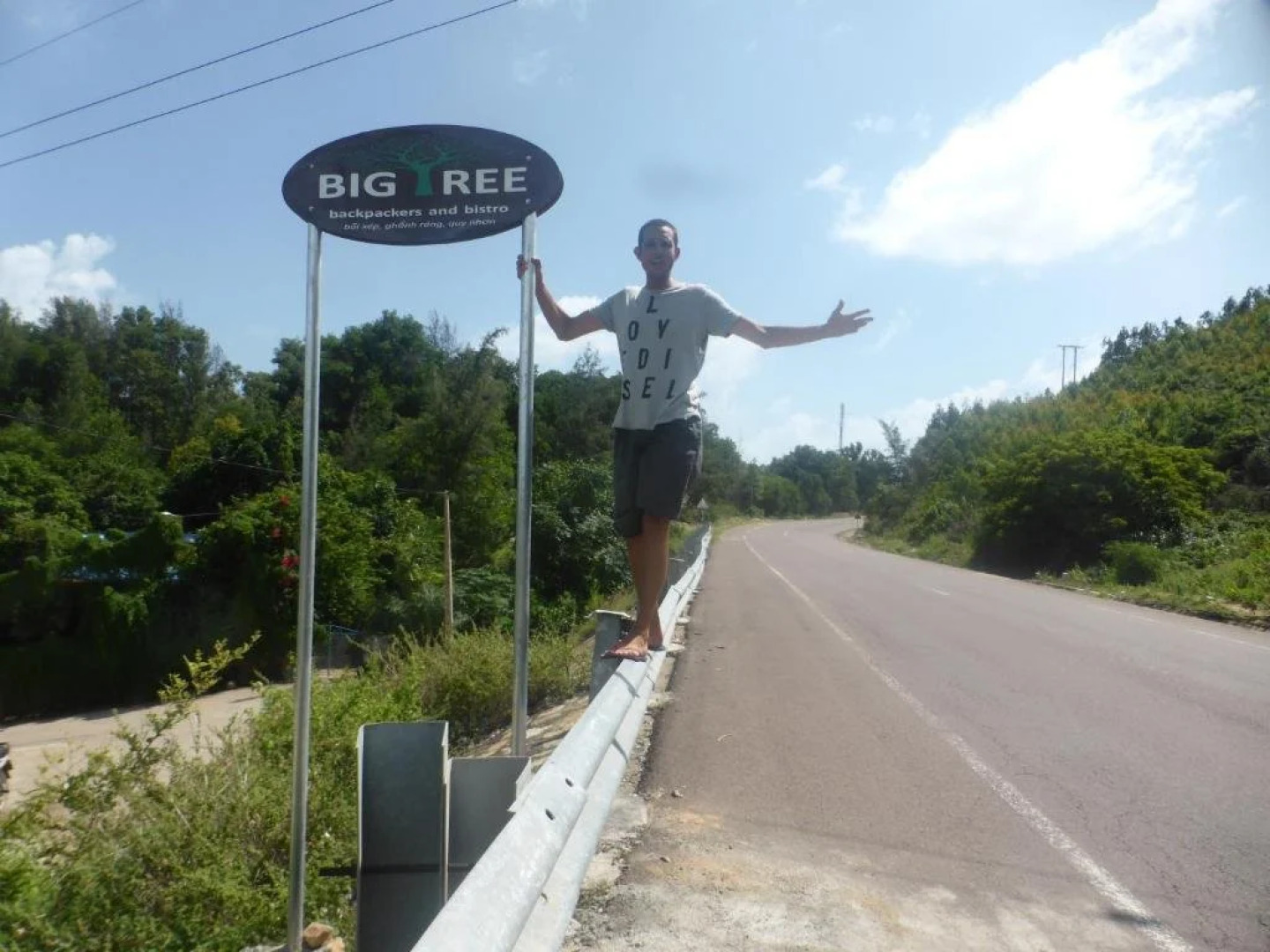 Big Tree Backpackers And Bistro