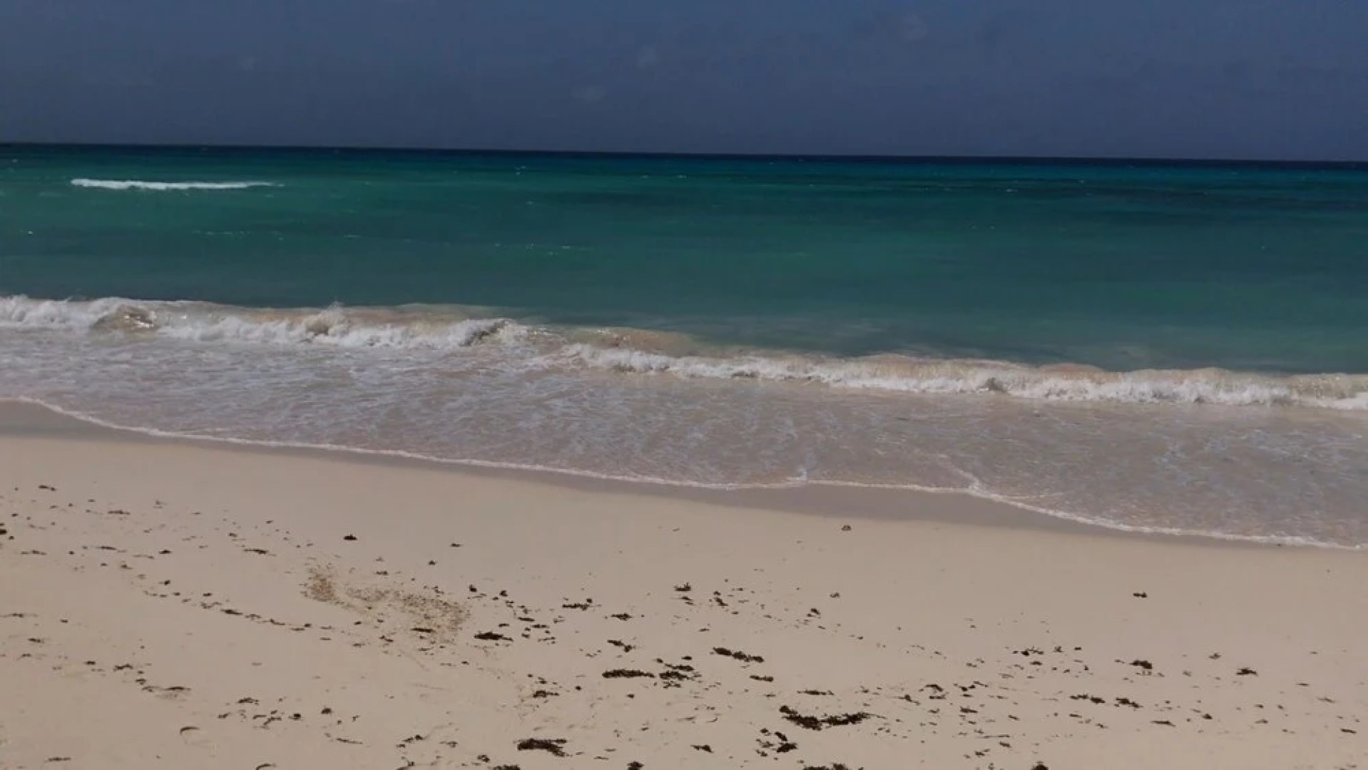 Maxwell Beach Apartment