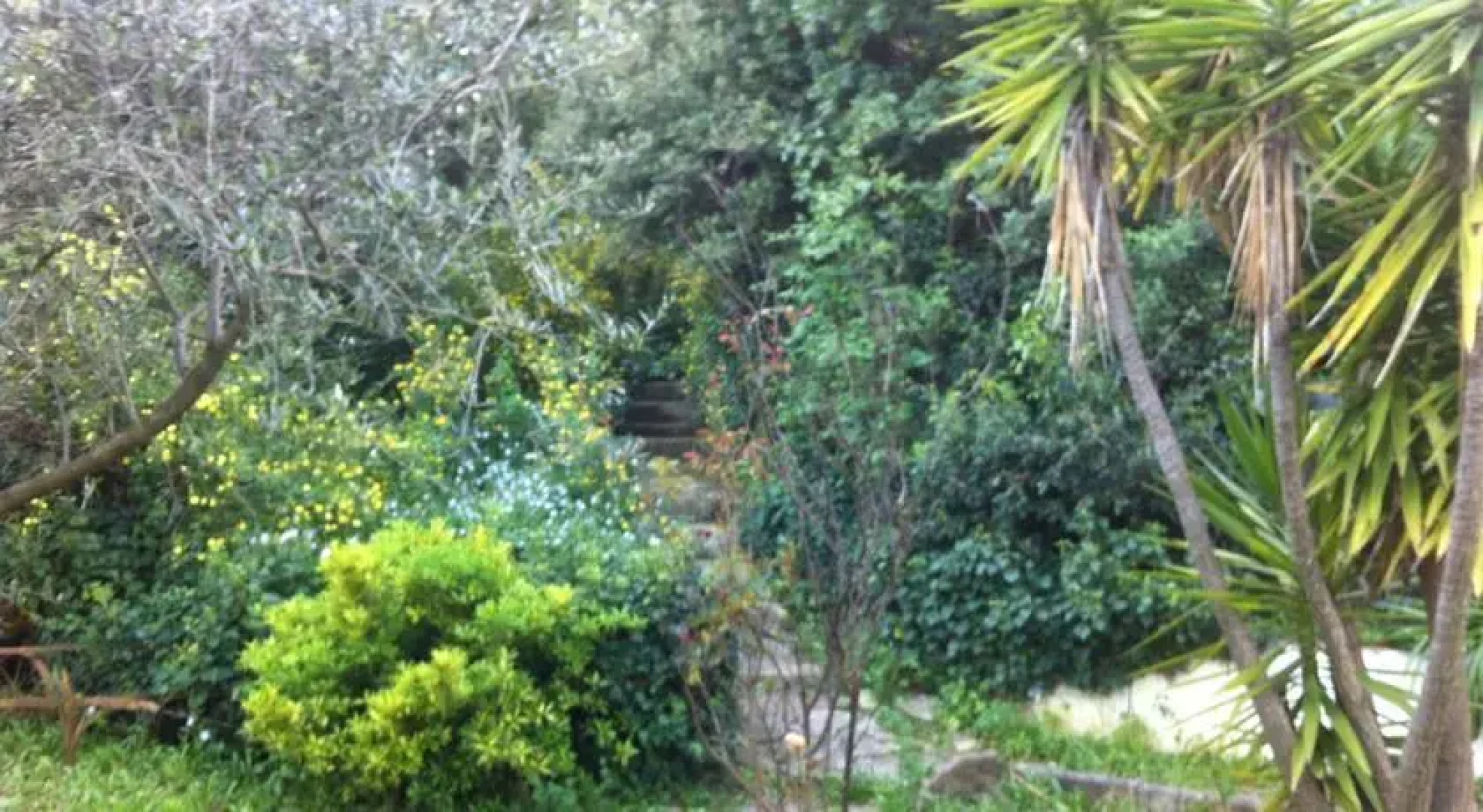 Domaine des hauts de sauvebonne