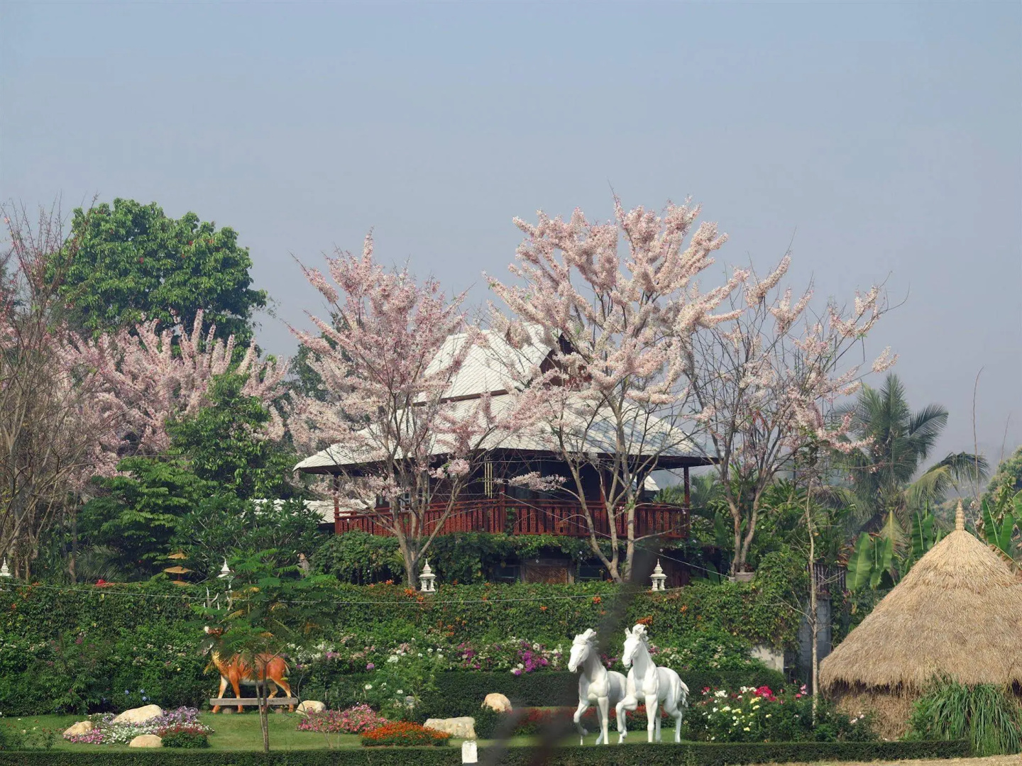 Phusanfah Resort