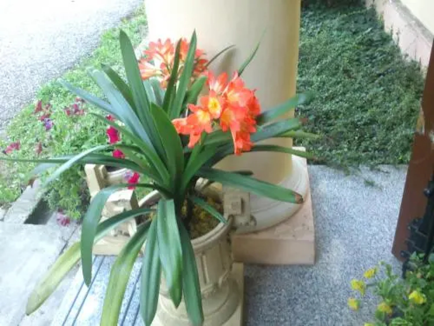 Kastélyszálló Szarkavár