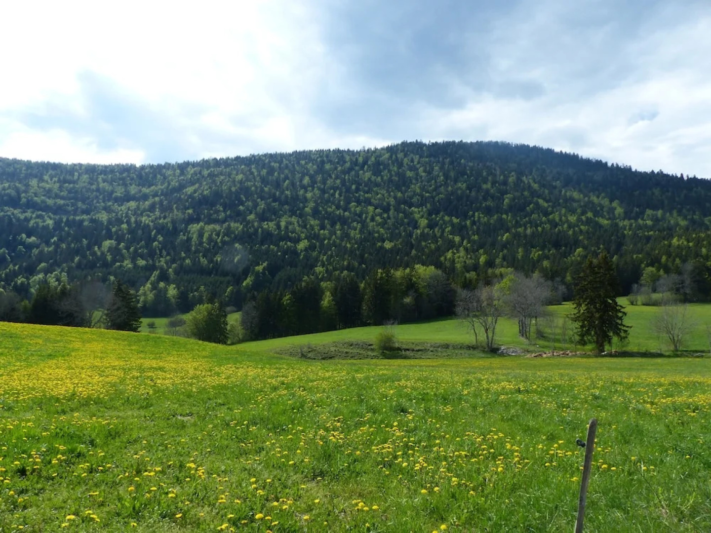 Hotel Au Feu De Bois