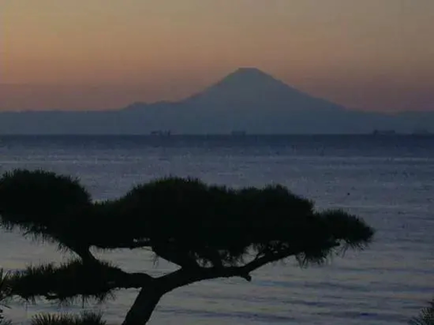 Tennen Onsen Ningyo no Yu Ryokan Kaikouzu