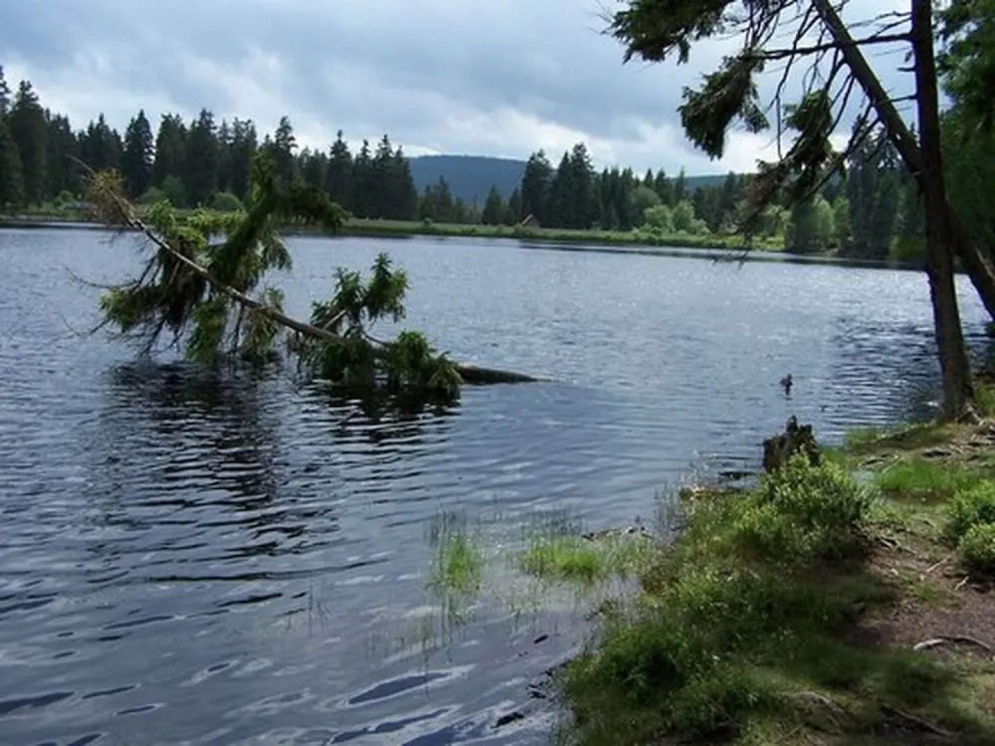 Berghotel Sankt Andreasberg