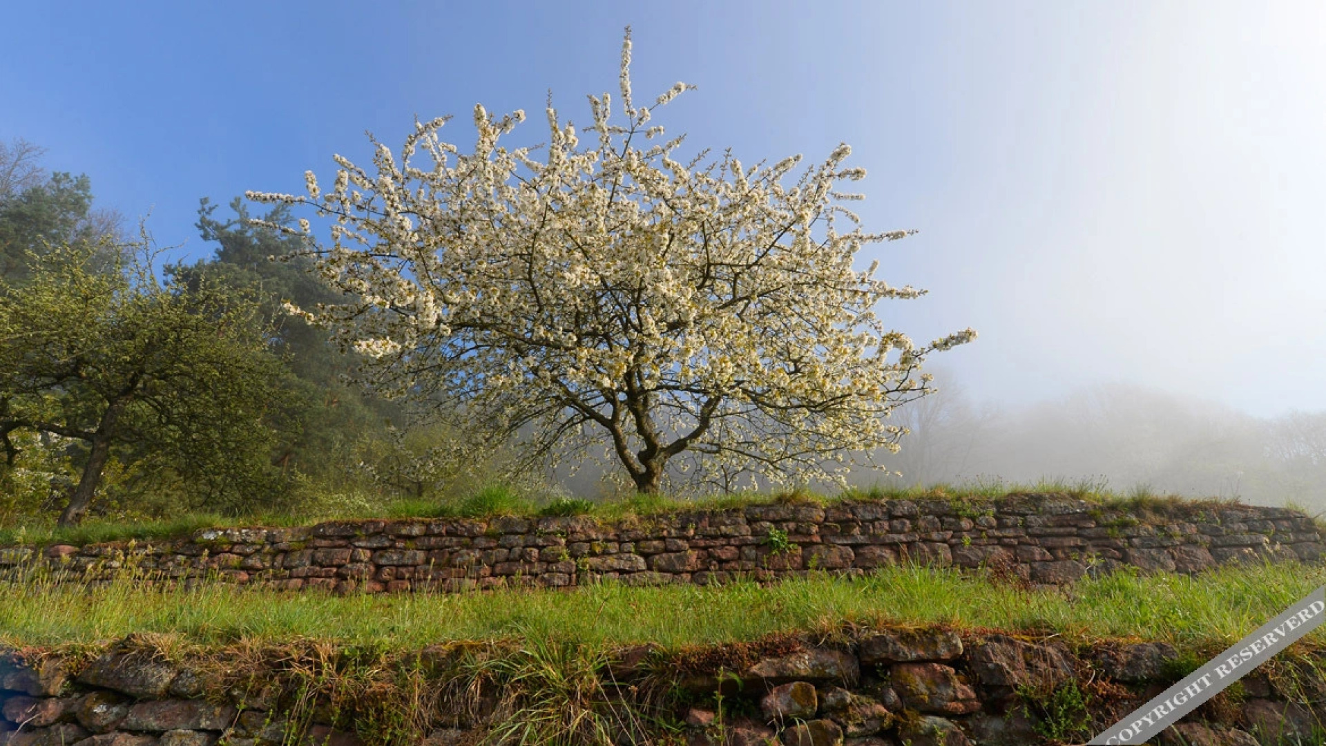 Hotel Weinhaus Stern