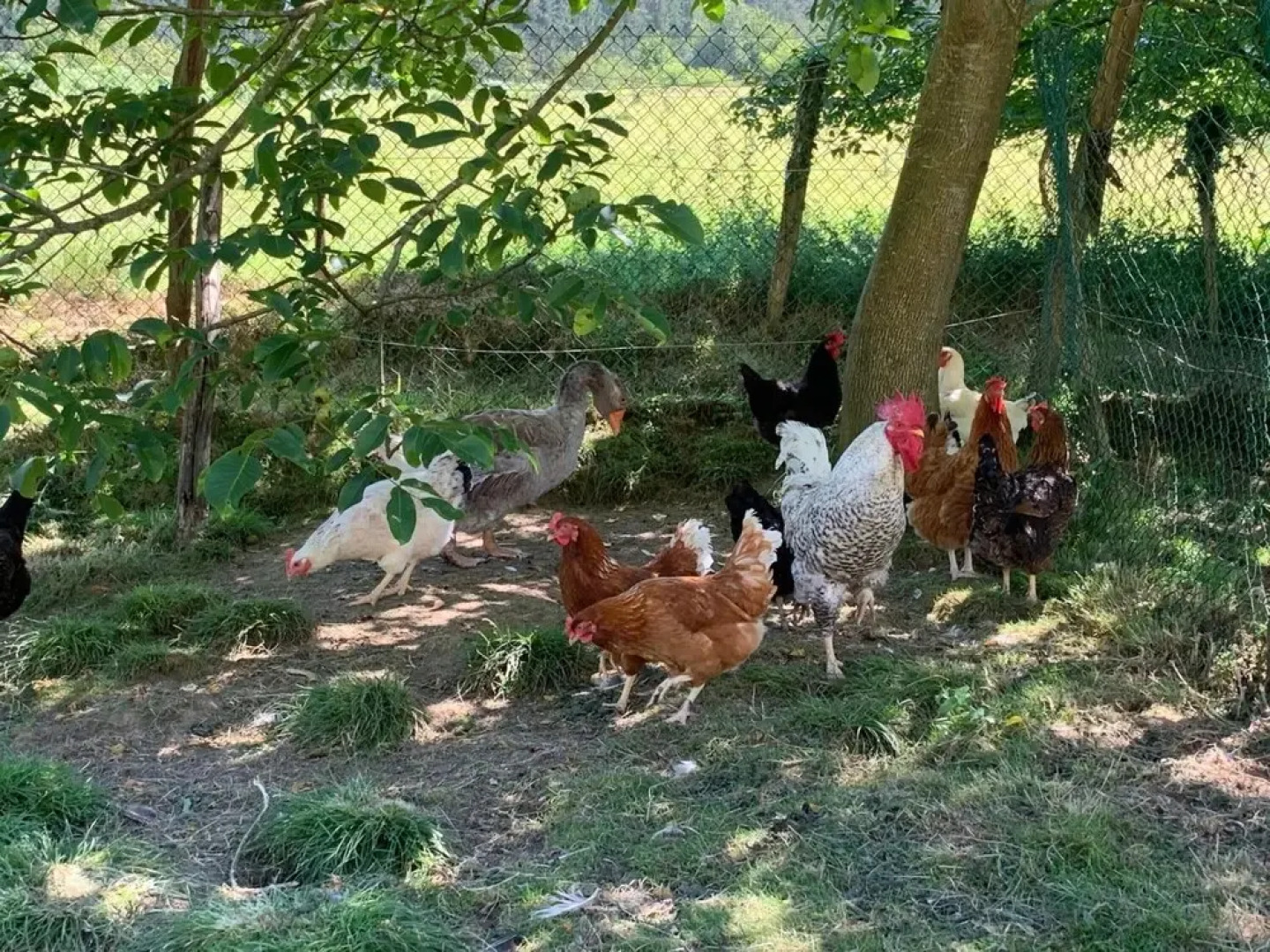 Agroturismo Urresti