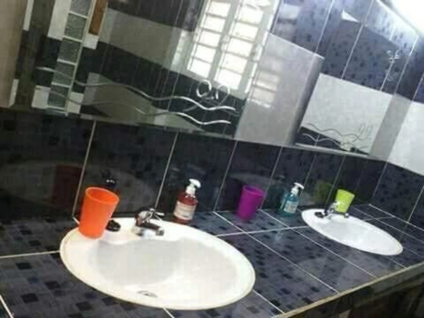 Habitation Les Manguiers