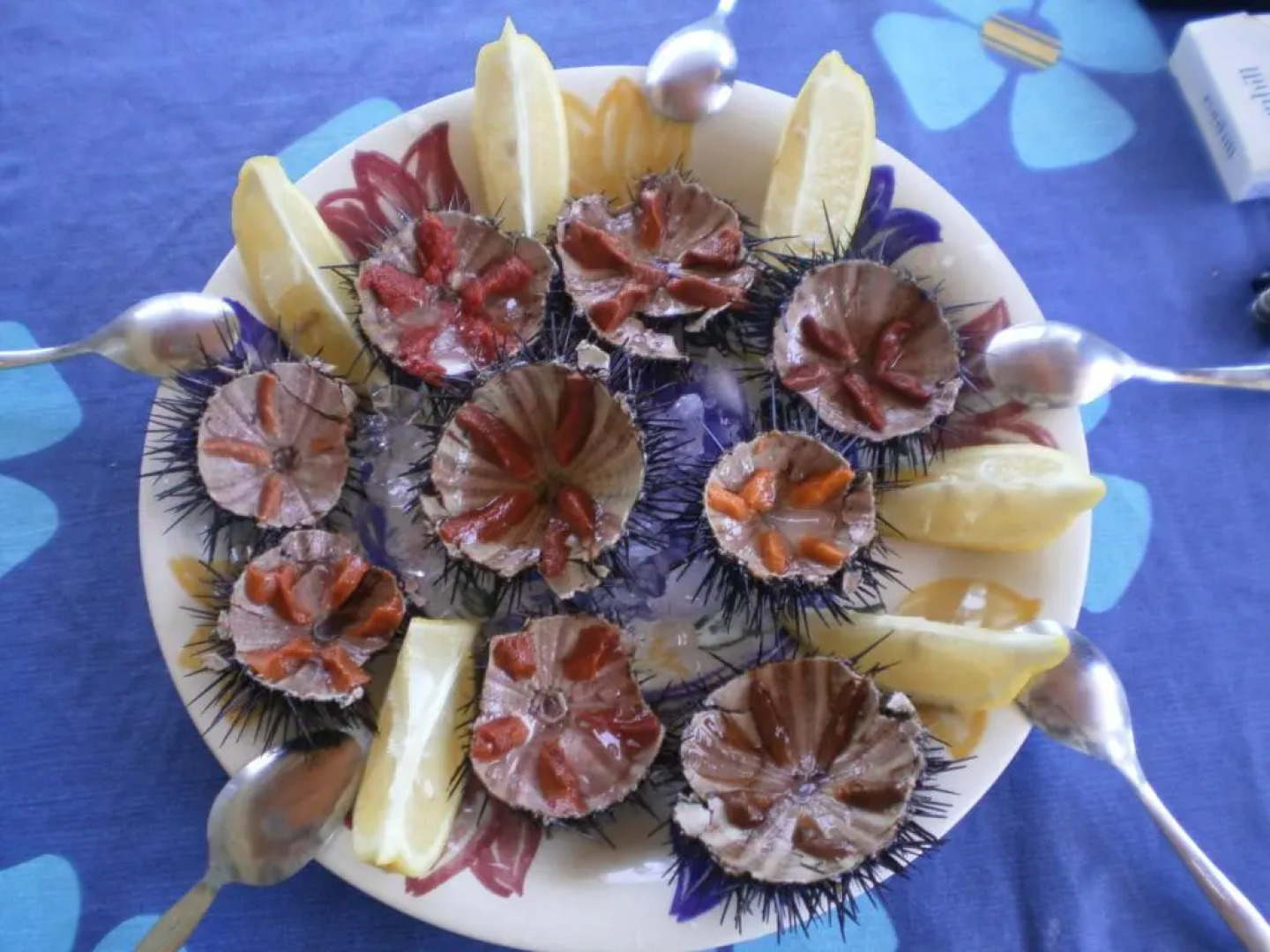 Cosy house by the sea