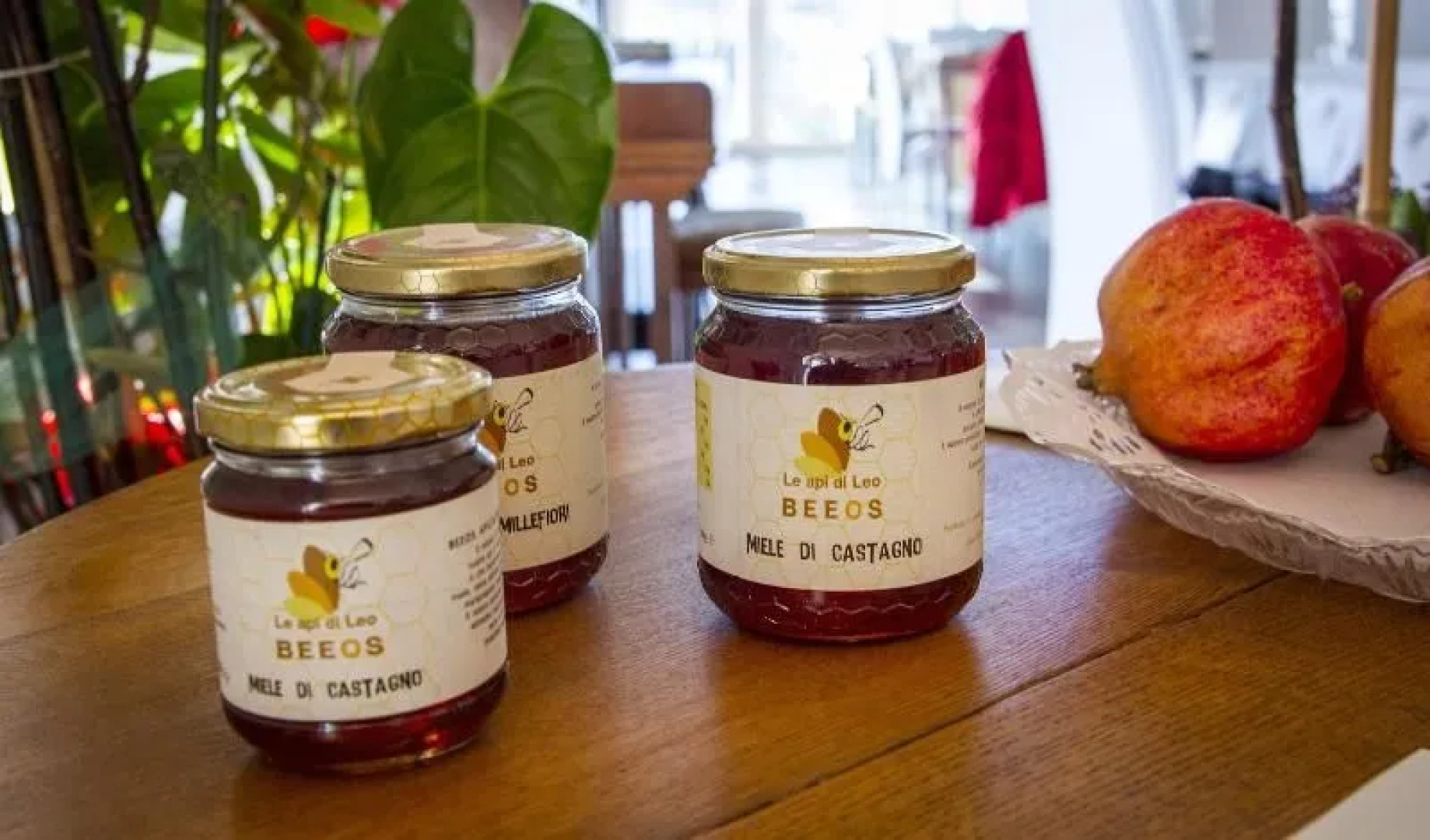 Agriturismo Bio Relais Terra del Vento