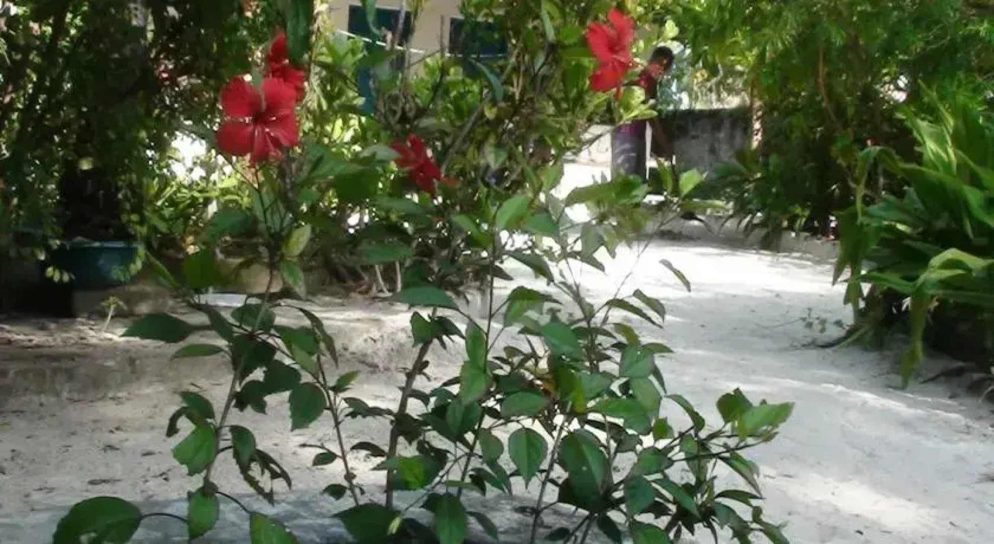 Helwa Zanzibar Beach Bungalows