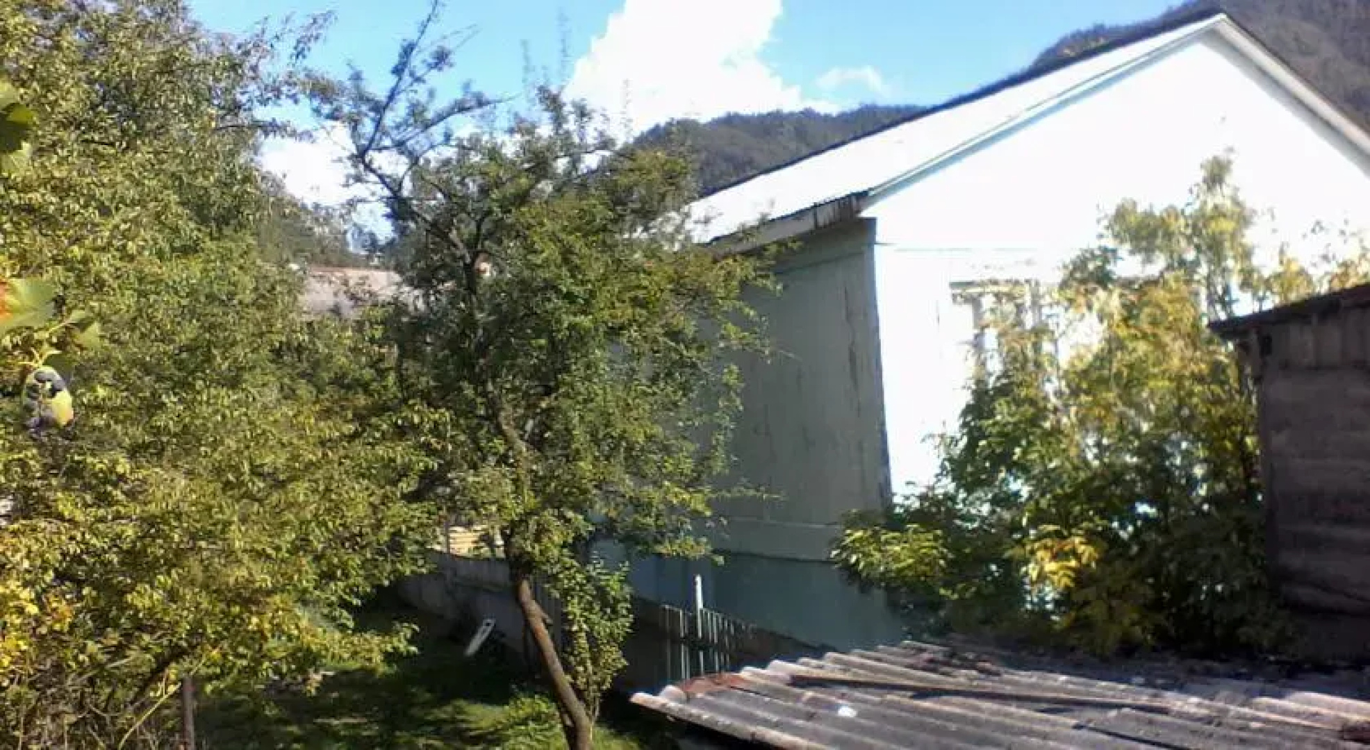 Borjomi Likani Homestay