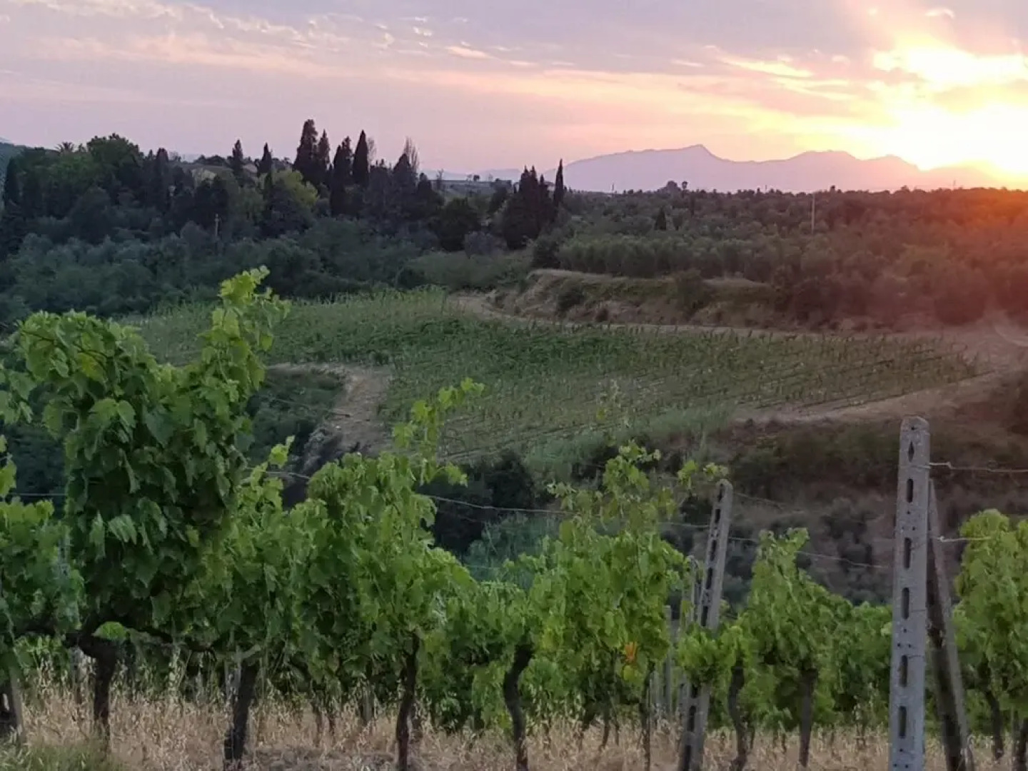 Agriturismo Podere Casalone