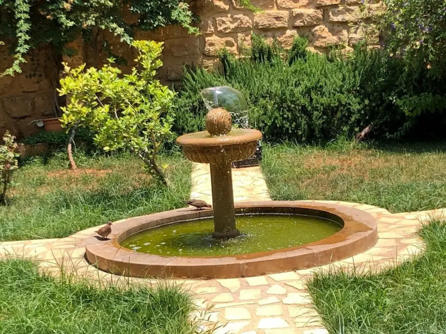 Saint Francis Bed & Breakfast