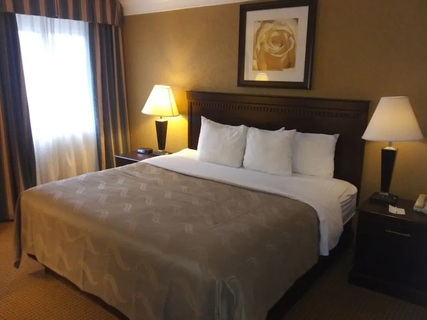 Clarion Inn & Suites Fairgrounds