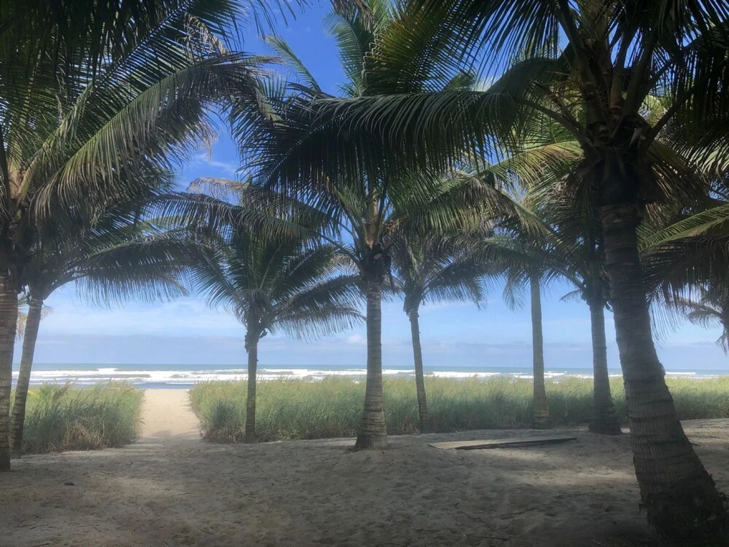 CanoaOasis Private, exclusive estate, 1 acre tropical paradise, directly on private beach area