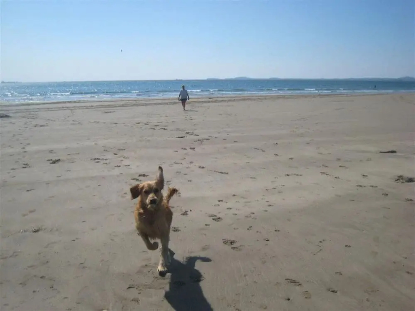 Modern Holiday Home in Wisemans Bridge With Terrace